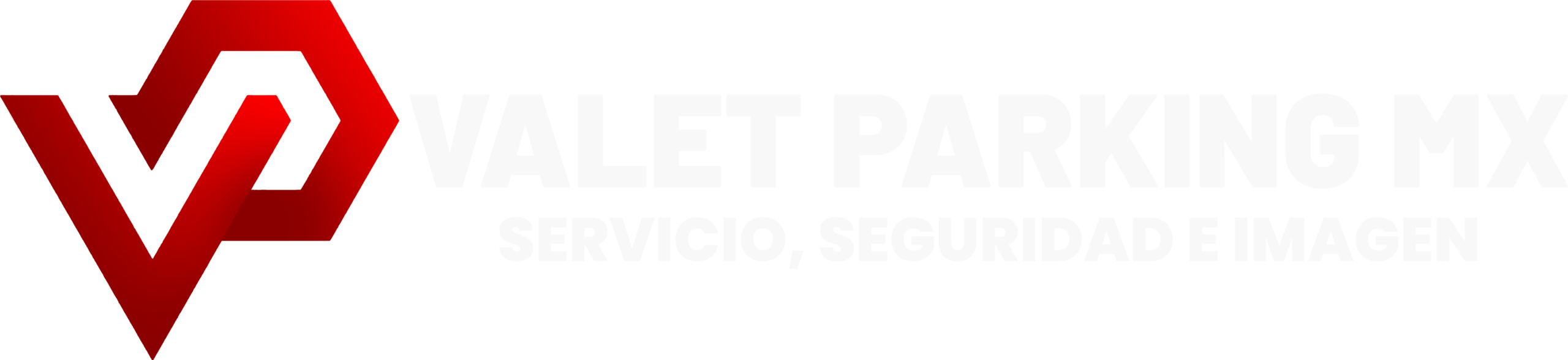 Valet Parking MX servicio seguridad e imagen